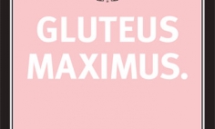 Experience Gluteus Maximus Advertisement