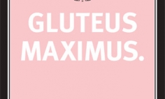 Experience Gluteus Maximus Advertisement