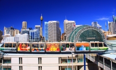 sydney-monorail-gliding-above-darling-drive